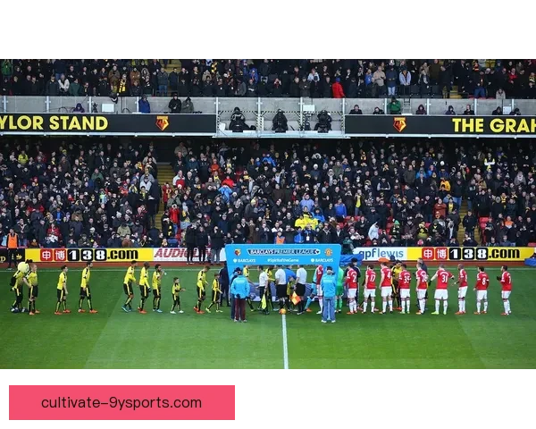 沃特福德俱乐部最新动态解析 球队阵容调整与赛季展望