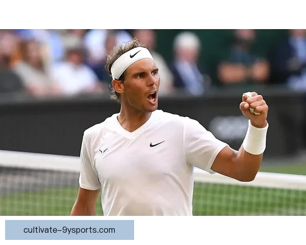 网球巨星复出战况揭晓 新赛季赛事风云再起